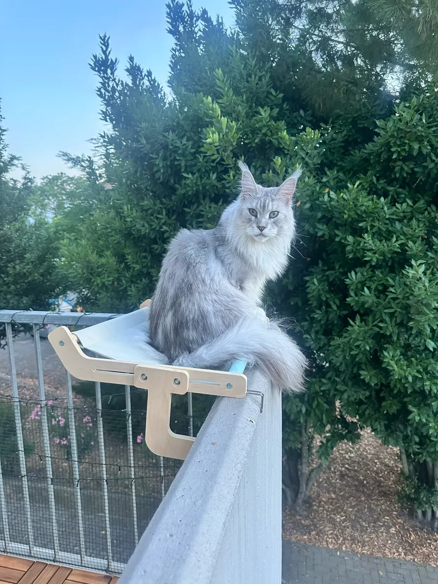 Hamac en bois en situation, photo envoyée par Amélie I.
